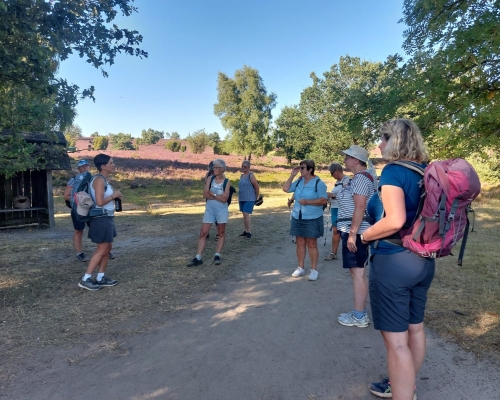 03 2